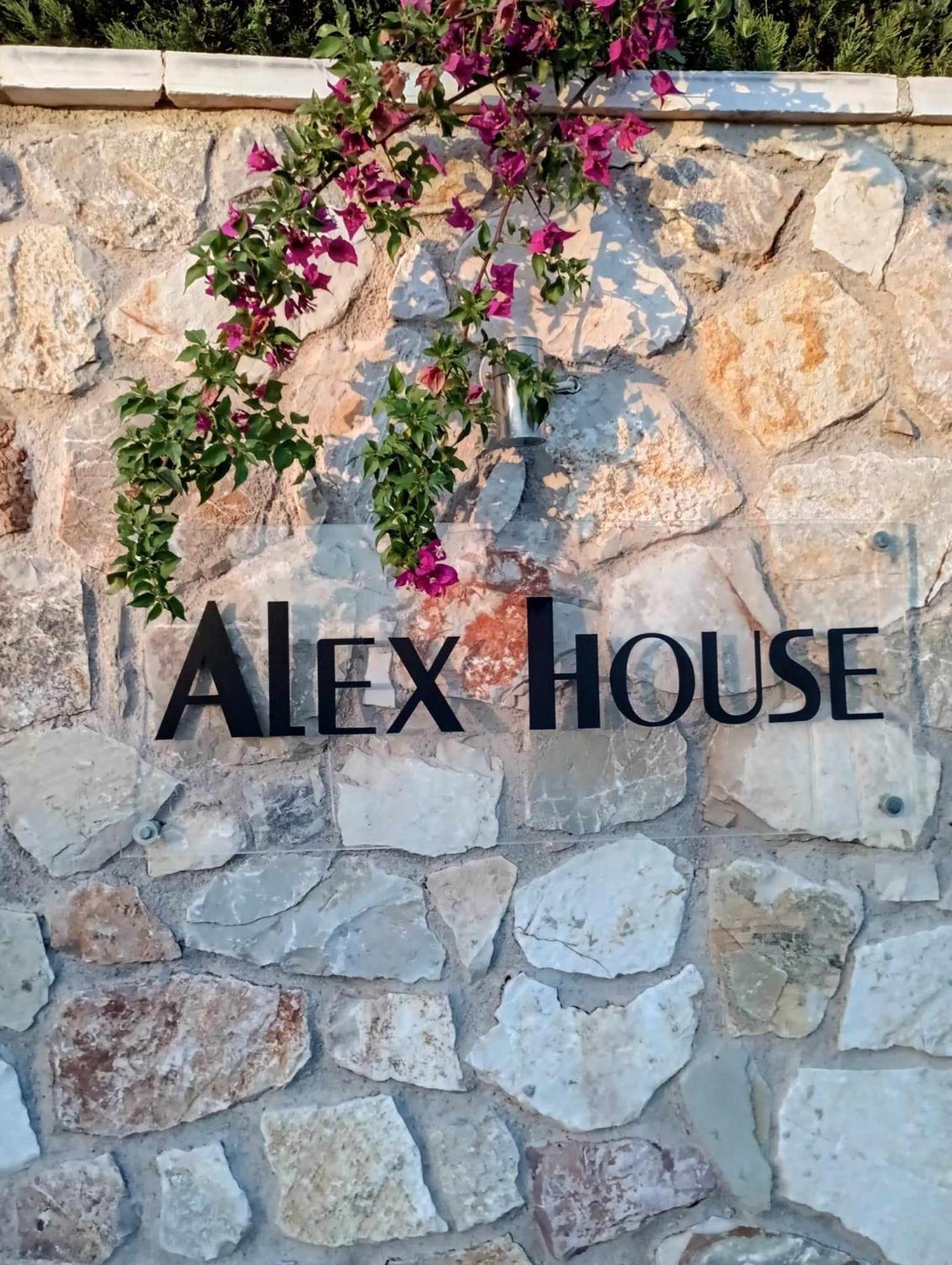 자하로 Alex House 아파트 호텔 외부 사진